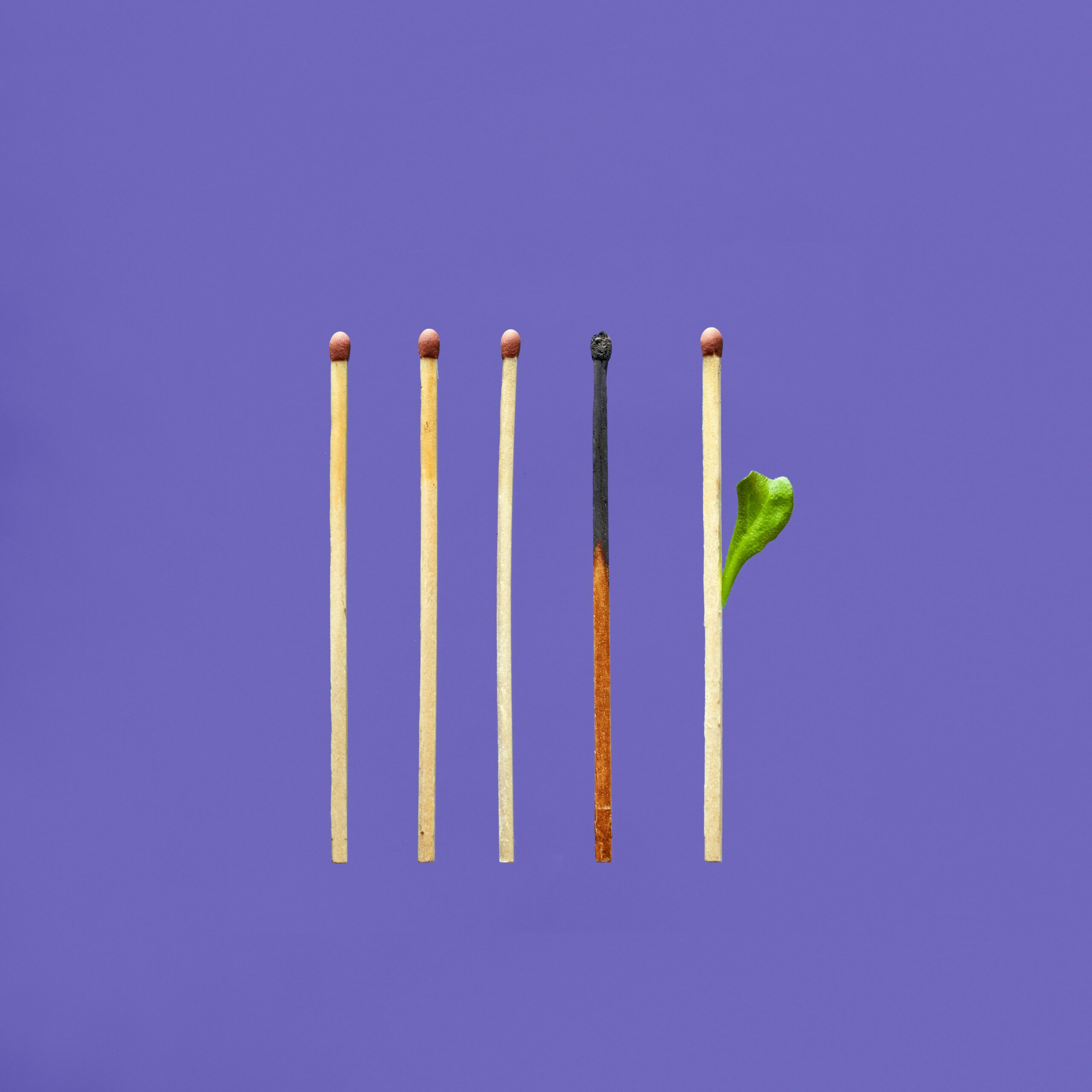 Five matchsticks representing the stages of workplace burnout, with one burnt match and one regrowing with a green leaf symbolising recovery and renewal.